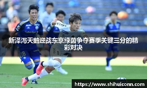 新泽泻天鹅迎战东京绿茵争夺赛季关键三分的精彩对决
